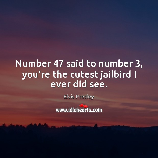 Number 47 said to number 3, you’re the cutest jailbird I ever did see. Image