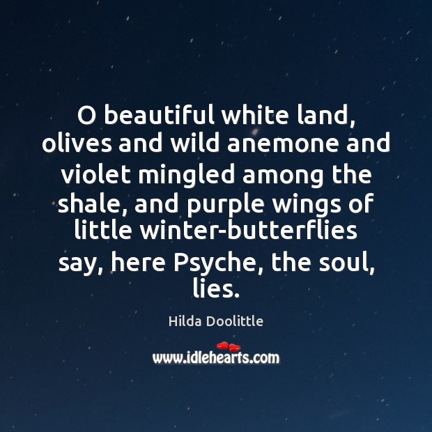 O beautiful white land, olives and wild anemone and violet mingled among Image