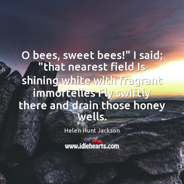 O bees, sweet bees!” I said; “that nearest field Is shining white Helen Hunt Jackson Picture Quote