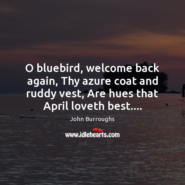 O bluebird, welcome back again, Thy azure coat and ruddy vest, Are Image