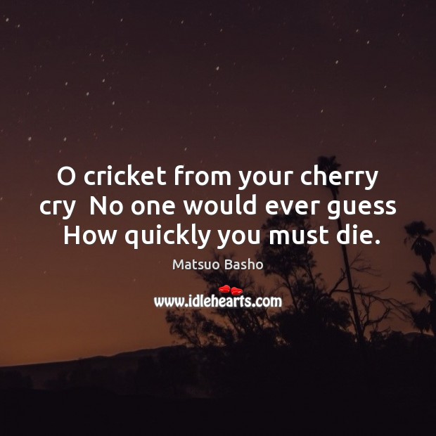O cricket from your cherry cry  No one would ever guess  How quickly you must die. Matsuo Basho Picture Quote