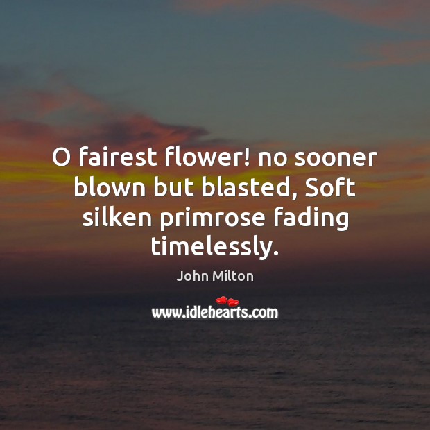 O fairest flower! no sooner blown but blasted, Soft silken primrose fading timelessly. John Milton Picture Quote