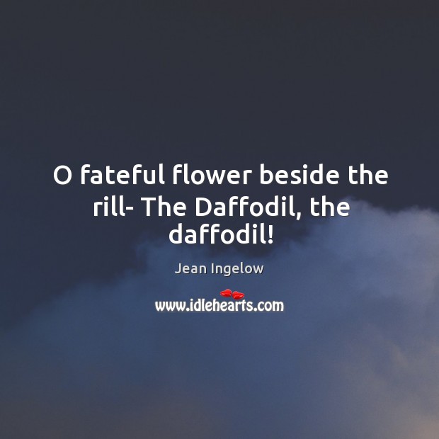 O fateful flower beside the rill- The Daffodil, the daffodil! Jean Ingelow Picture Quote