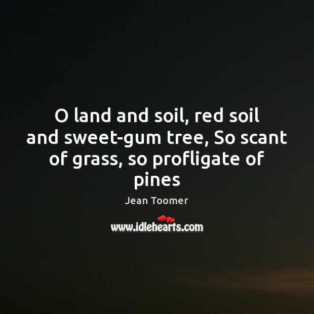 O land and soil, red soil and sweet-gum tree, So scant of grass, so profligate of pines Image