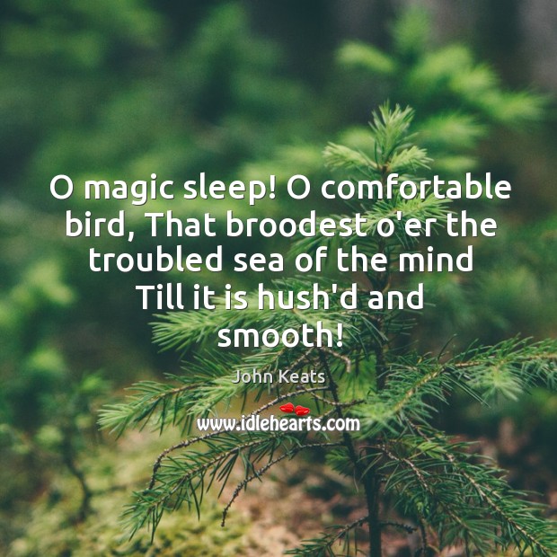 O magic sleep! O comfortable bird, That broodest o’er the troubled sea John Keats Picture Quote