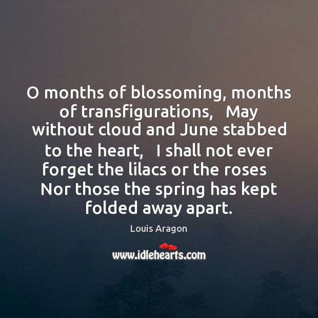 O months of blossoming, months of transfigurations,   May without cloud and June Image