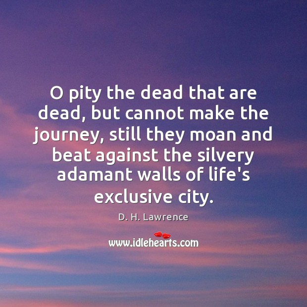 O pity the dead that are dead, but cannot make the journey, Journey Quotes Image