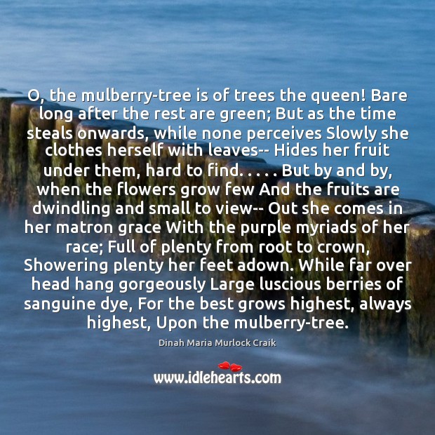 O, the mulberry-tree is of trees the queen! Bare long after the Dinah Maria Murlock Craik Picture Quote
