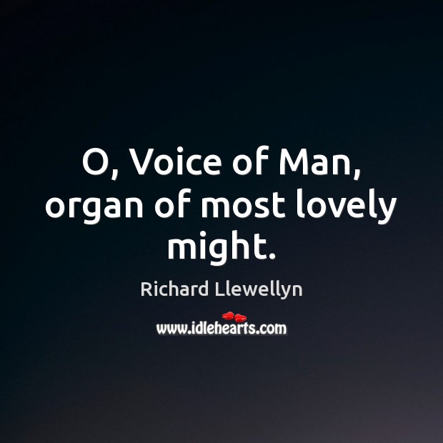 O, Voice of Man, organ of most lovely might. 