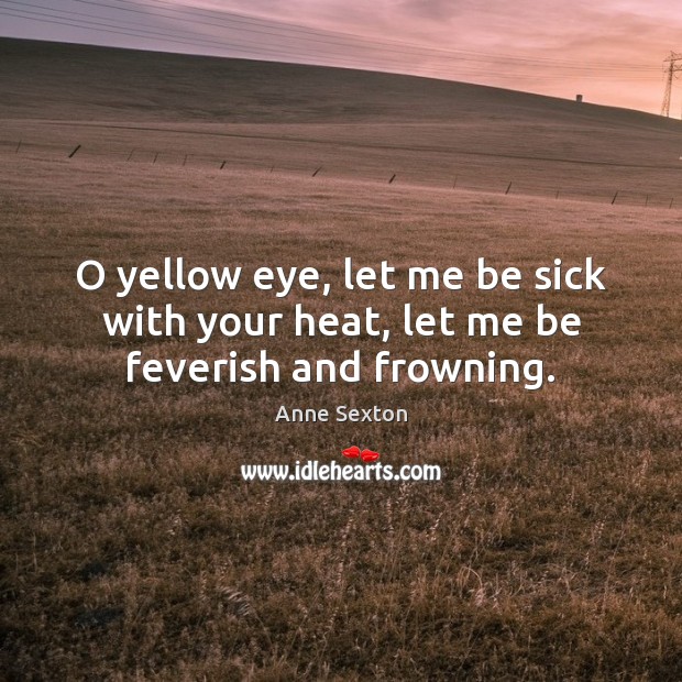 O yellow eye, let me be sick with your heat, let me be feverish and frowning. Image