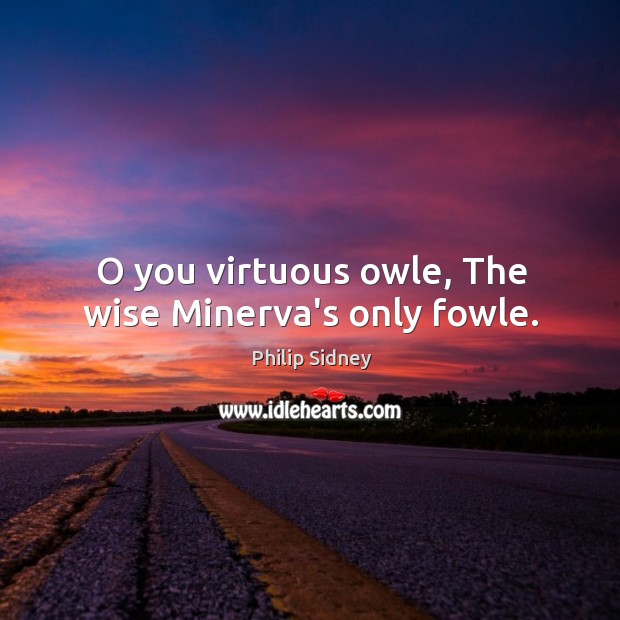 O you virtuous owle, The wise Minerva’s only fowle. Philip Sidney Picture Quote