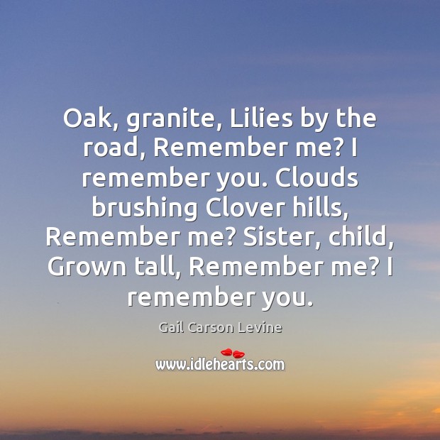 Oak, granite, Lilies by the road, Remember me? I remember you. Clouds Image