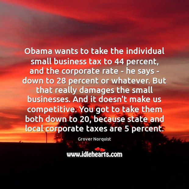 Obama wants to take the individual small business tax to 44 percent, and Grover Norquist Picture Quote