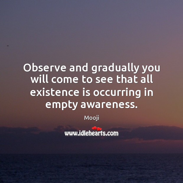 Observe and gradually you will come to see that all existence is Image