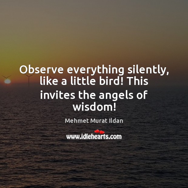 Observe everything silently, like a little bird! This invites the angels of wisdom! Mehmet Murat Ildan Picture Quote