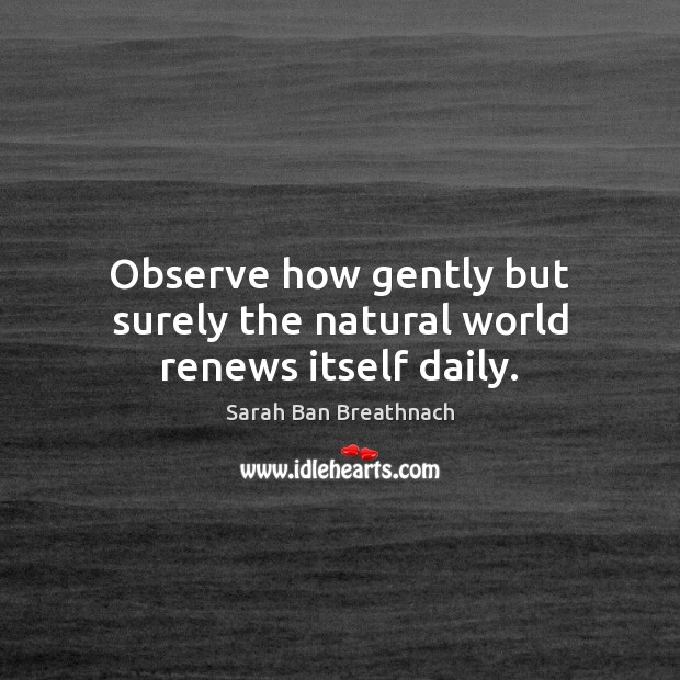 Observe how gently but surely the natural world renews itself daily. Sarah Ban Breathnach Picture Quote