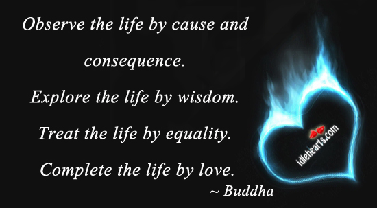 Observe the life by cause and consequence. Buddha Picture Quote