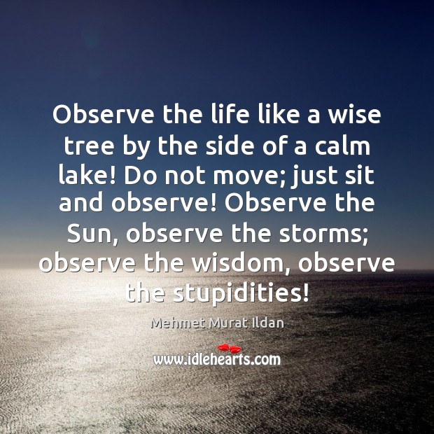 Observe the life like a wise tree by the side of a Wise Quotes Image
