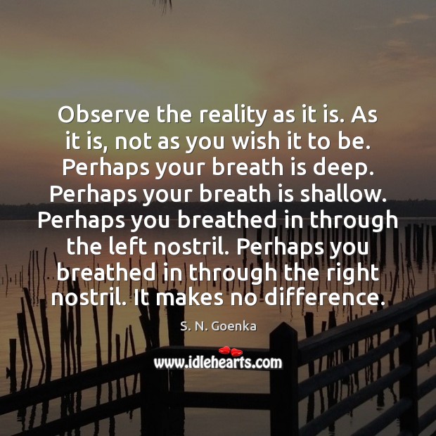 Observe the reality as it is. As it is, not as you S. N. Goenka Picture Quote
