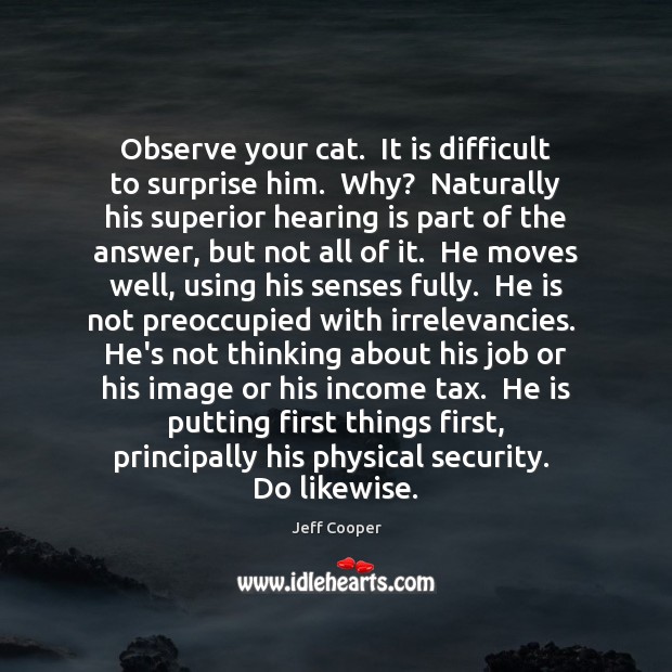 Observe your cat.  It is difficult to surprise him.  Why?  Naturally his Jeff Cooper Picture Quote