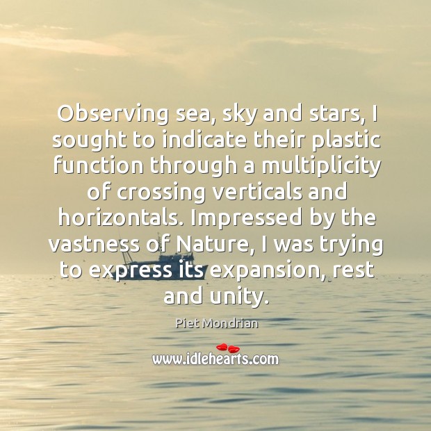 Observing sea, sky and stars, I sought to indicate their plastic function Piet Mondrian Picture Quote