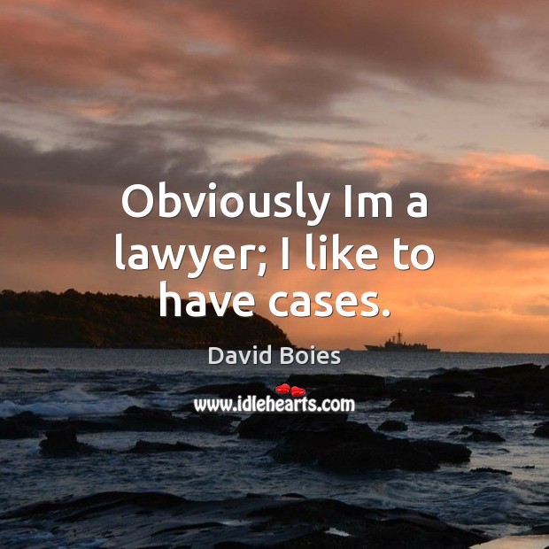 Obviously Im a lawyer; I like to have cases. David Boies Picture Quote