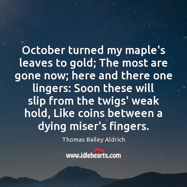 October turned my maple’s leaves to gold; The most are gone now; Thomas Bailey Aldrich Picture Quote