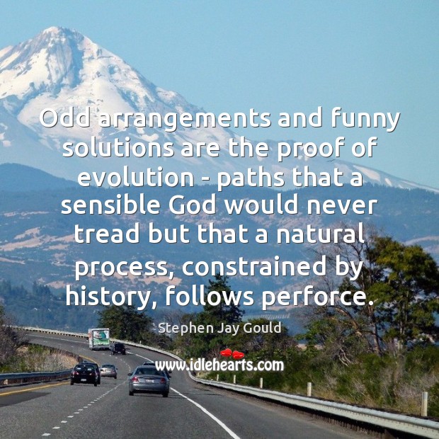 Odd arrangements and funny solutions are the proof of evolution – paths Stephen Jay Gould Picture Quote