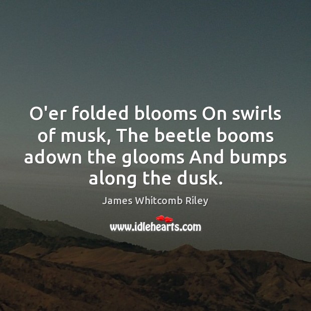 O’er folded blooms On swirls of musk, The beetle booms adown the James Whitcomb Riley Picture Quote