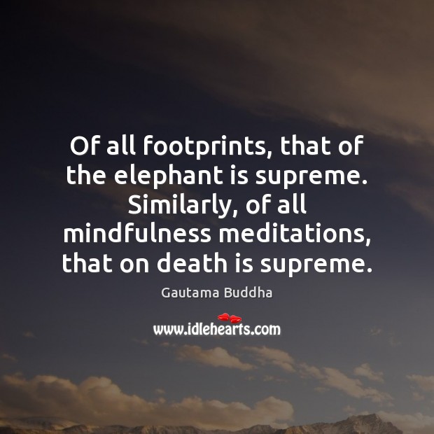 Of all footprints, that of the elephant is supreme. Similarly, of all Gautama Buddha Picture Quote