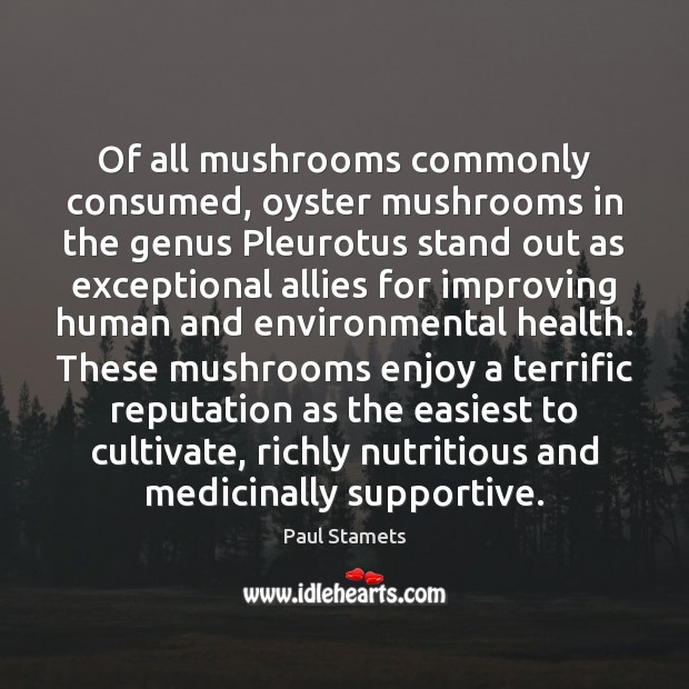 Of all mushrooms commonly consumed, oyster mushrooms in the genus Pleurotus stand Paul Stamets Picture Quote