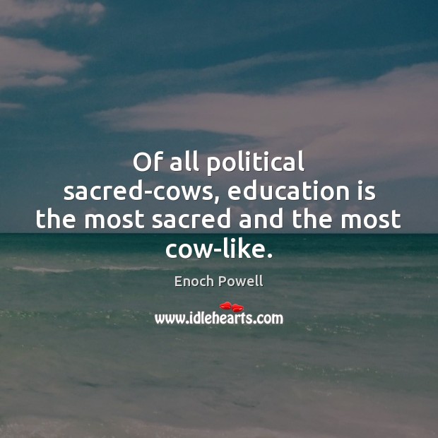 Of all political sacred-cows, education is the most sacred and the most cow-like. Enoch Powell Picture Quote