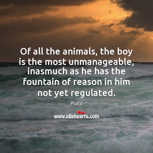 Of all the animals, the boy is the most unmanageable, inasmuch as Plato Picture Quote