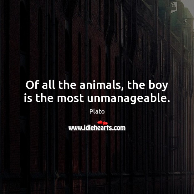 Of all the animals, the boy is the most unmanageable. Plato Picture Quote