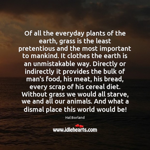 Of all the everyday plants of the earth, grass is the least Hal Borland Picture Quote