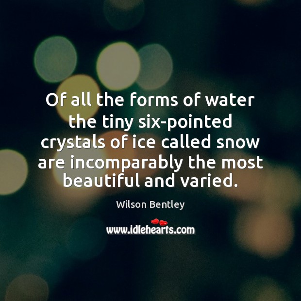 Of all the forms of water the tiny six-pointed crystals of ice Wilson Bentley Picture Quote