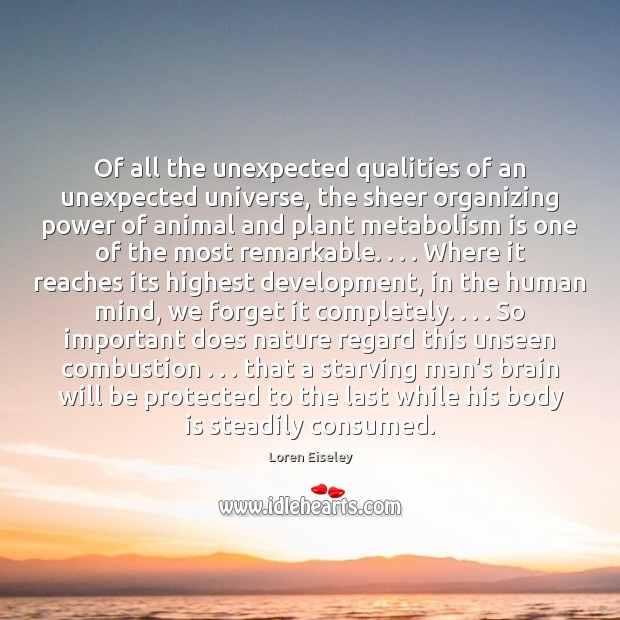 Of all the unexpected qualities of an unexpected universe, the sheer organizing Loren Eiseley Picture Quote