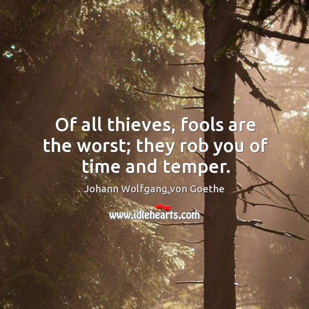 Of all thieves, fools are the worst; they rob you of time and temper. Image