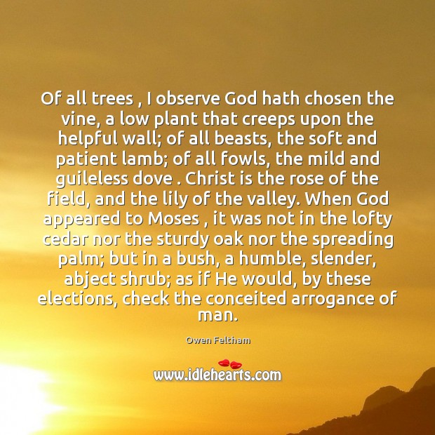 Of all trees , I observe God hath chosen the vine, a low Owen Feltham Picture Quote