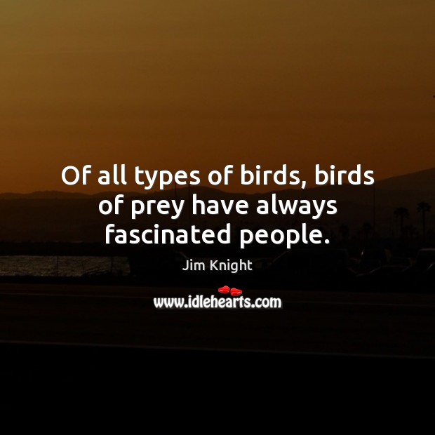 Of all types of birds, birds of prey have always fascinated people. Image