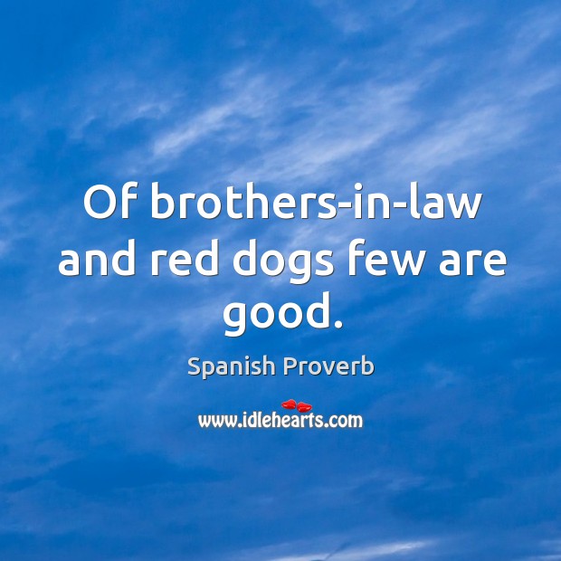 Of brothers-in-law and red dogs few are good. Spanish Proverbs Image