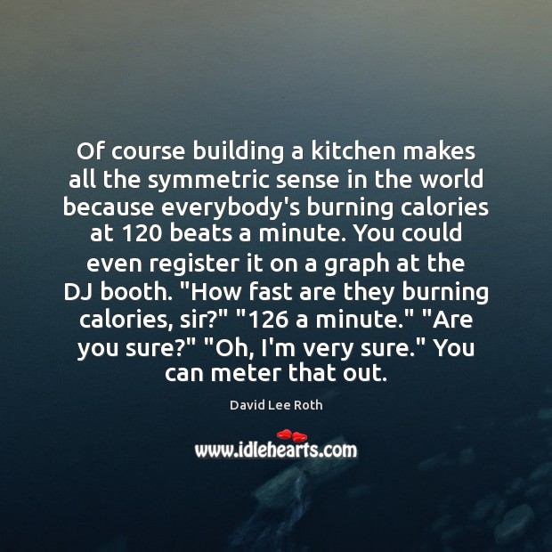 Of course building a kitchen makes all the symmetric sense in the David Lee Roth Picture Quote