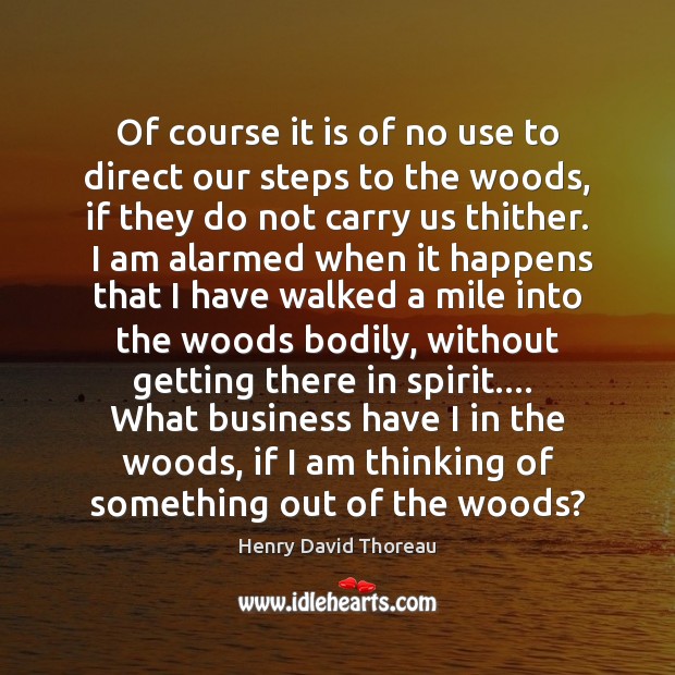 Of course it is of no use to direct our steps to Henry David Thoreau Picture Quote