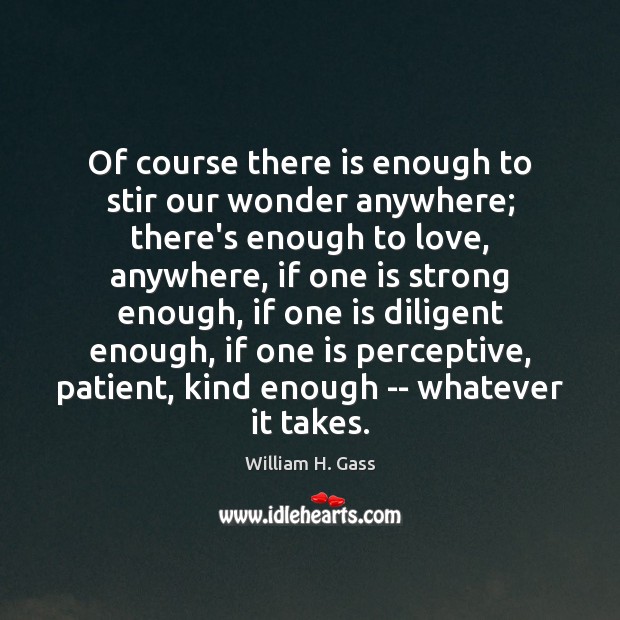 Of course there is enough to stir our wonder anywhere; there’s enough William H. Gass Picture Quote