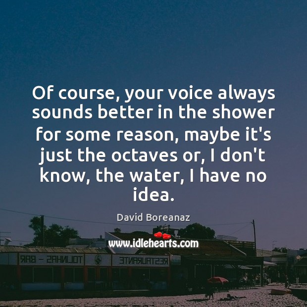 Of course, your voice always sounds better in the shower for some David Boreanaz Picture Quote