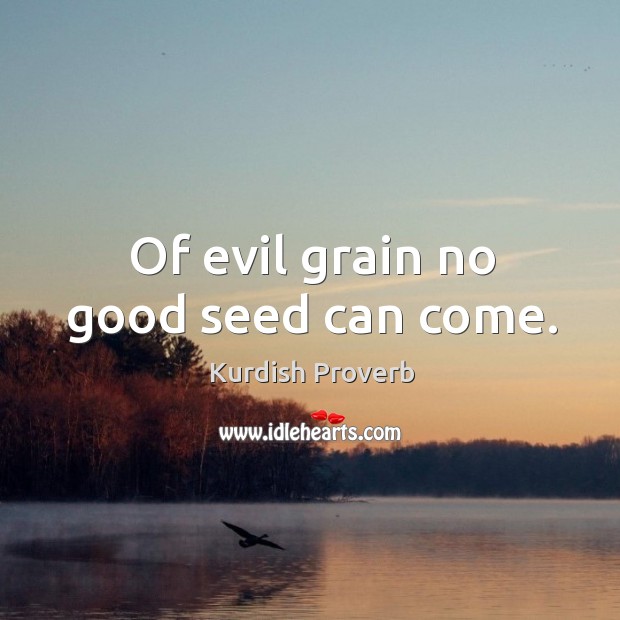 Of evil grain no good seed can come. Kurdish Proverbs Image