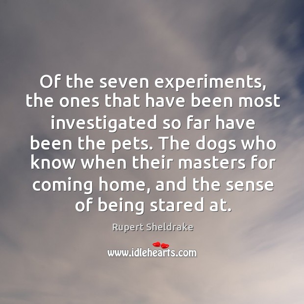 Of the seven experiments, the ones that have been most investigated so far have been the pets. Rupert Sheldrake Picture Quote