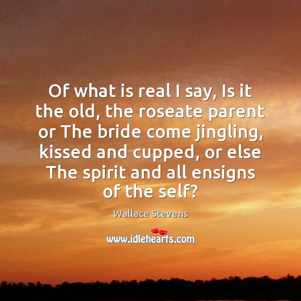 Of what is real I say, Is it the old, the roseate Wallace Stevens Picture Quote