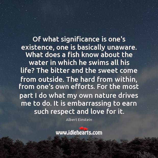 Of what significance is one’s existence, one is basically unaware. What does Albert Einstein Picture Quote