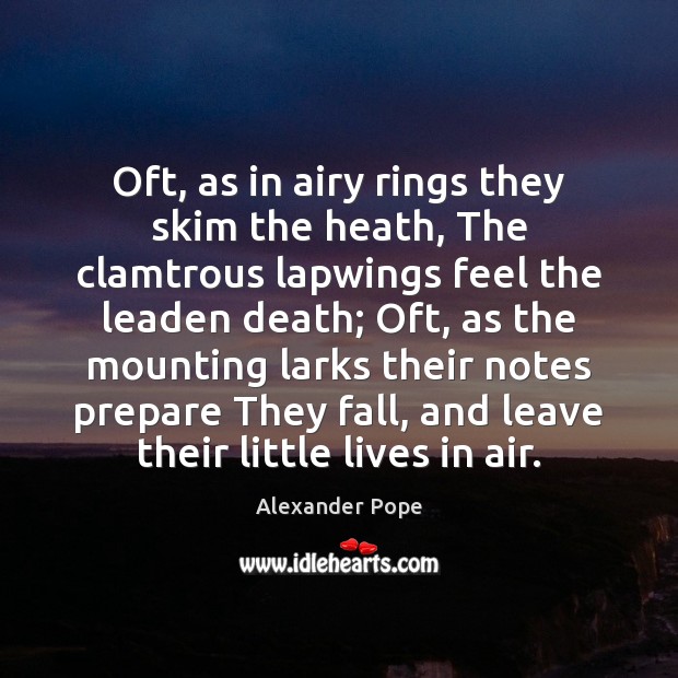 Oft, as in airy rings they skim the heath, The clamtrous lapwings Alexander Pope Picture Quote